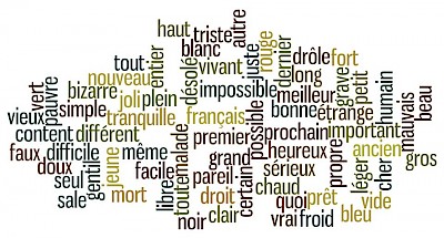 法语哪些形容词可以放在名词前面？